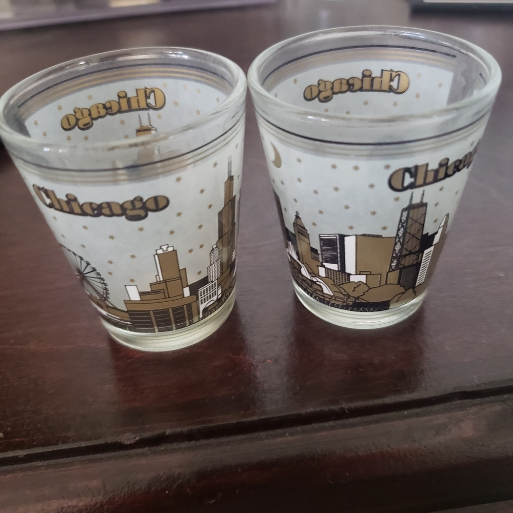 2 Shot Glasses